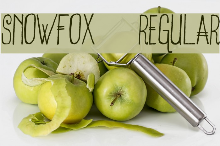 SnowFox-Regular Font examples
