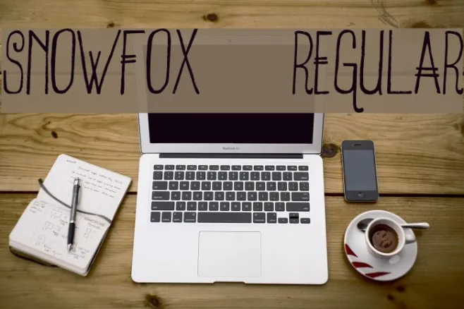 SnowFox-Regular Example 3