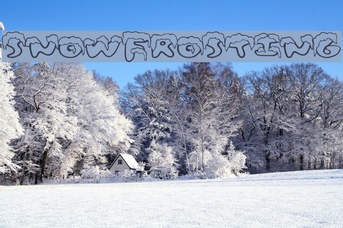 SnowFrosting لخطوط تنزيل examples