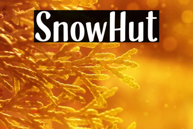 SnowHut Example 1