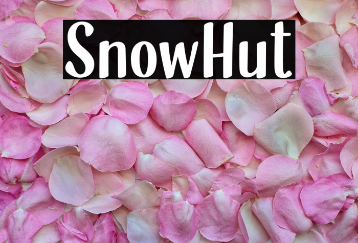 SnowHut Example 2
