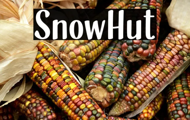 SnowHut Example 3