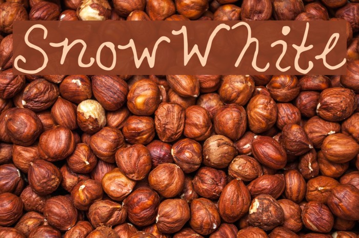 SnowWhite Font examples