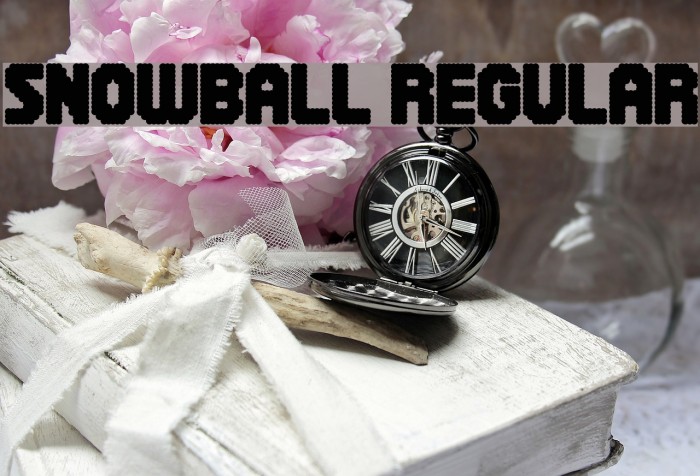 Snowball Regular Font examples
