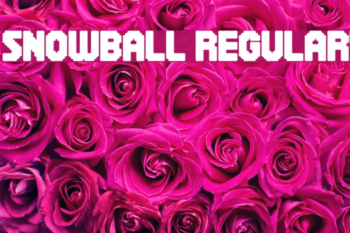 Snowball Regular Font examples