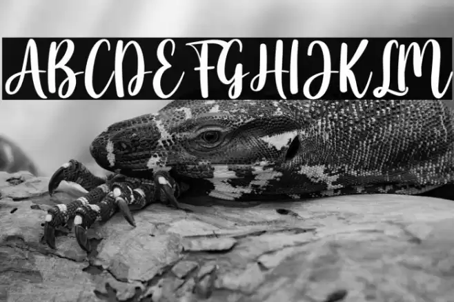 Snowball Font examples