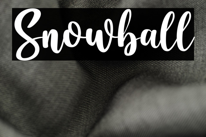 Snowball Example 2