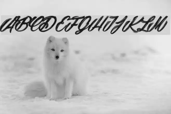Snowballs City_PersonalUseOnly Font examples