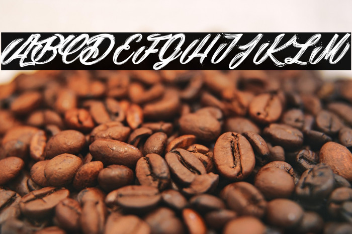 Snowballs City_PersonaluseOnly Example 1