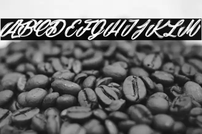 Snowballs City_PersonaluseOnly Font examples