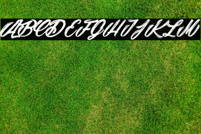 Snowballs City_PersonaluseOnly Example 2