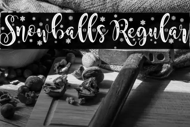 Snowballs Regular Font examples