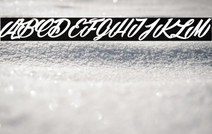 Snowballs Season_PersonalUseOnly Example 1