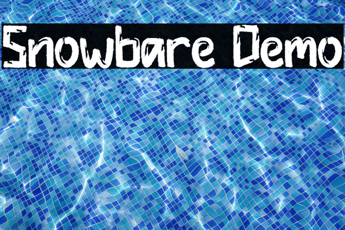 Snowbare Demo Example 2