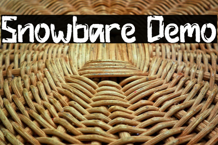 Snowbare Demo Example 3