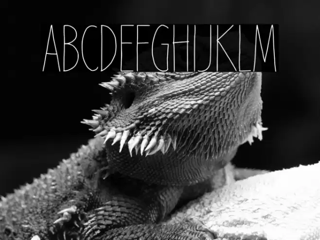 Snowblack خط examples