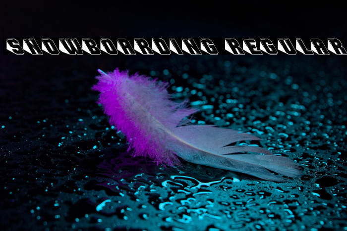 Snowboarding Regular Example 3