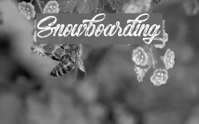 Snowboarding Font examples