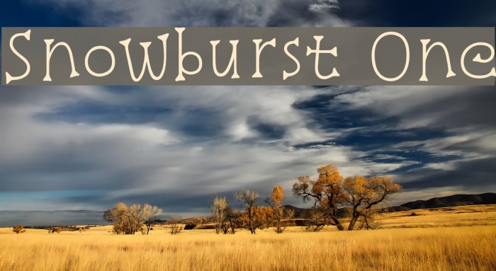 Snowburst One Example 2