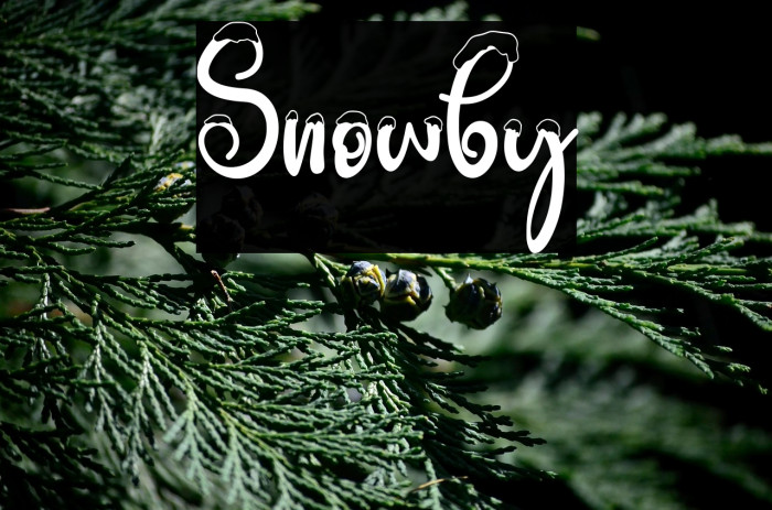 Snowby Example 2