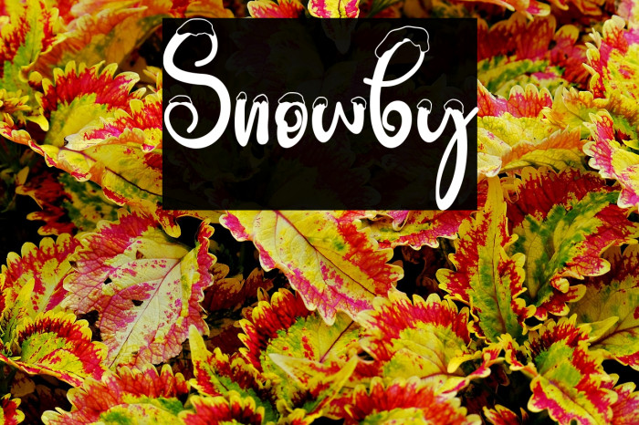 Snowby Example 3