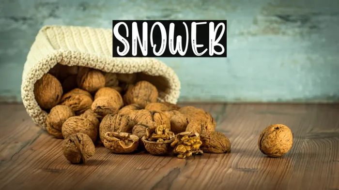 Snoweb Example 1