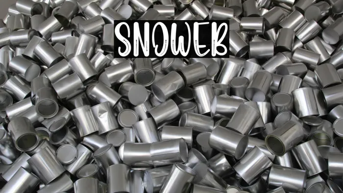 Snoweb Example 2