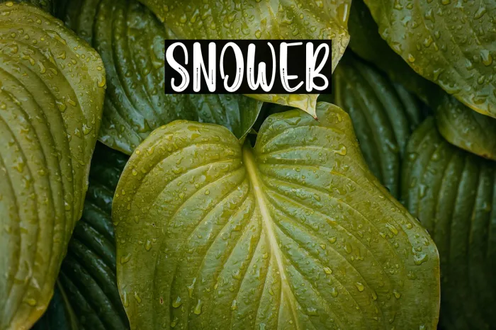 Snoweb Example 3