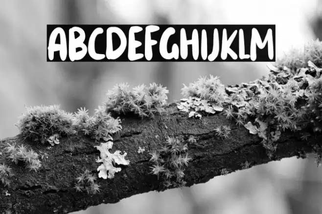 Snowes Font examples