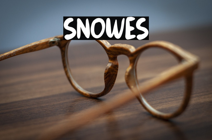 Snowes Example 3