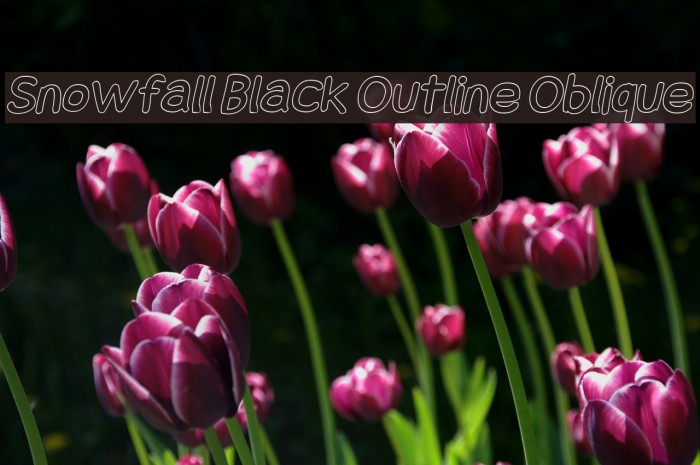 Snowfall Black Outline Oblique Font examples