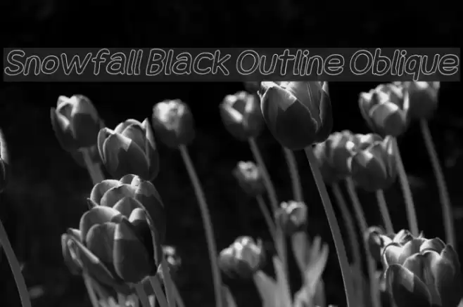 Snowfall Black Outline Oblique Caratteri examples