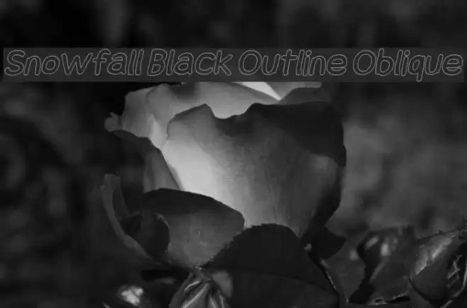 Snowfall Black Outline Oblique Caratteri examples