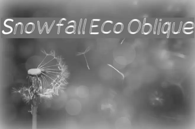 Snowfall Eco Oblique Font examples
