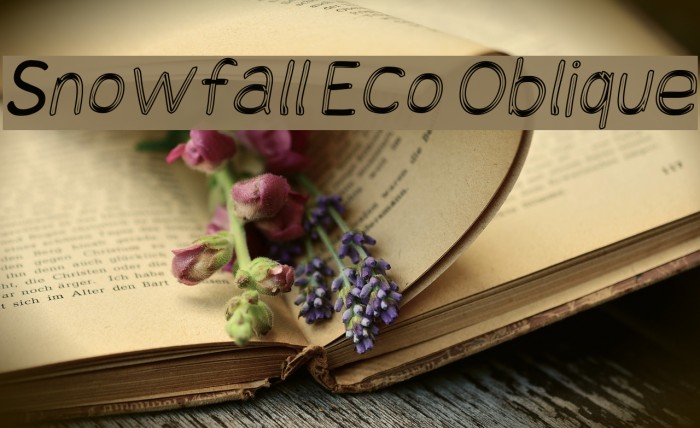 Snowfall Eco Oblique Font examples