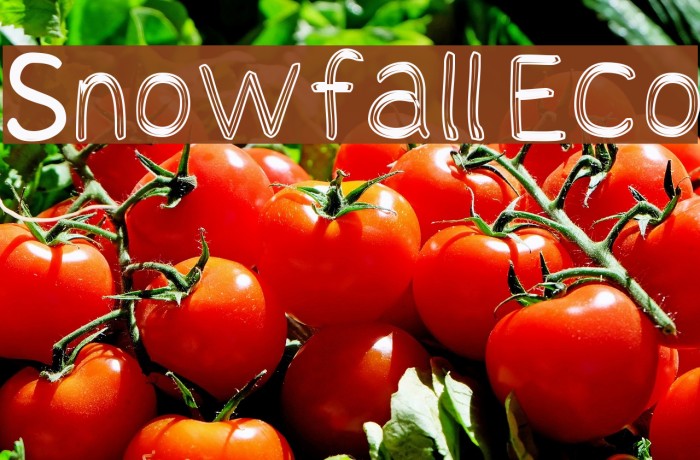 Snowfall Eco Example 1