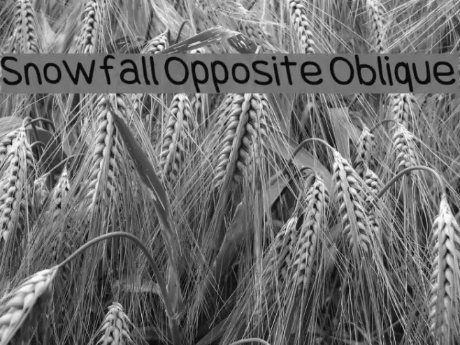 Snowfall Opposite Oblique Font examples