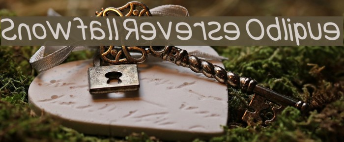 Snowfall Reverse Oblique Example 2