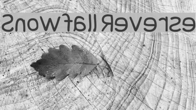 Snowfall Reverse Font examples