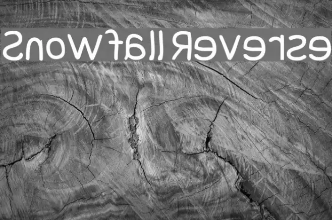 Snowfall Reverse Font examples