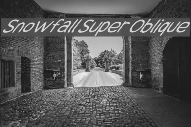 Snowfall Super Oblique Font examples