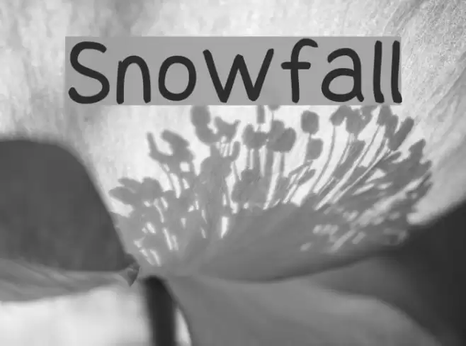 Snowfall examples