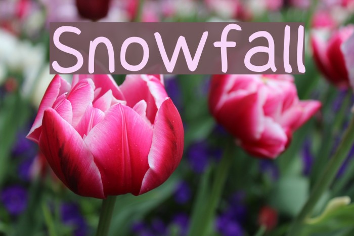 Snowfall Font examples
