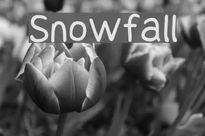 Snowfall examples