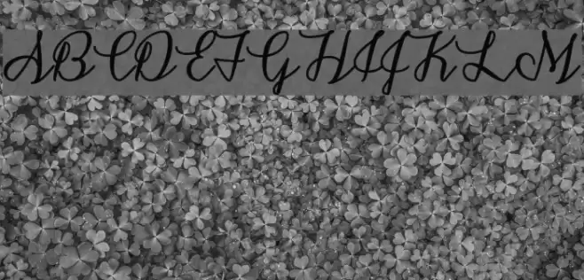 SnowflakeCalligraphy Font examples