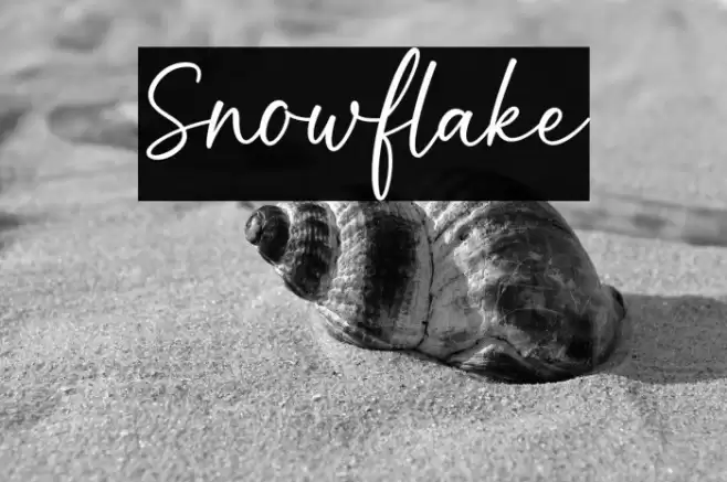Snowflake Font examples