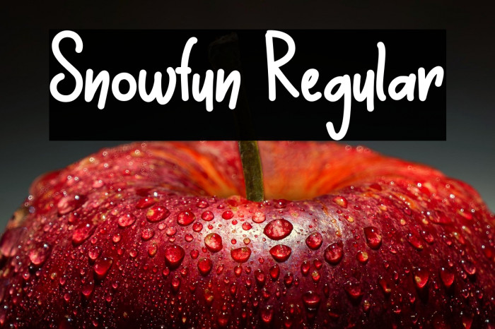 Snowfun Regular Example 2