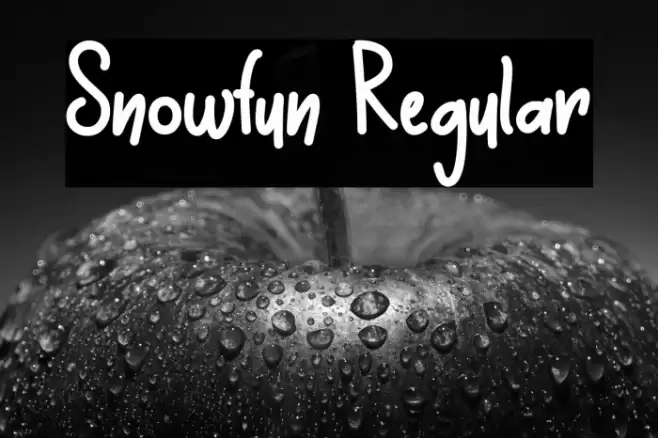 Snowfun Regular Font examples