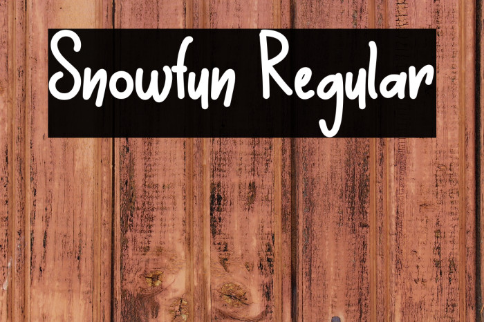 Snowfun Regular Example 3