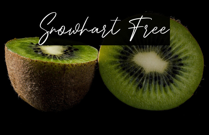 Snowhart Free Example 1